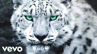 [New] Future, Drake ~ The Jungle (Music Video 2025)