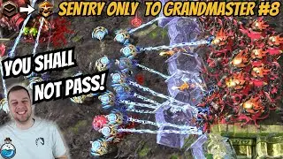 Today I was EXTRA ANNOYING to play against! | Sentry Only to Grandmaster #8 StarCraft 2