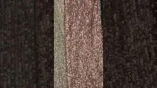 sequin fabrics #sequin #factory #fabrics #fashion #dress #fashionstyle #lace #fyp#wedding#embroidery