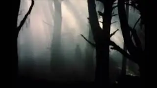 Haunted by Evanescence (slowed)