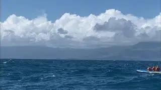 Whale Watching, S&atilde;o Miguel, Azores, Destination Services Portugal from Marc B. 🐳