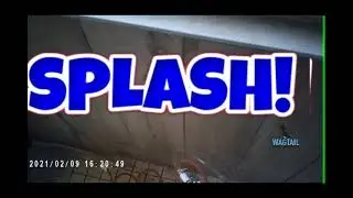 the original waterfed wagtail squeegee by  splash window cleaning in pa
