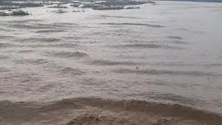Kotla Dadu Barsala Bhimber Nala at Flood l کوٹلہ بھنڈر نالہ طغیانی پر