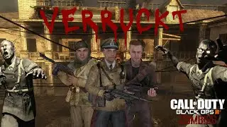 Playing COD Zombies Verruckt With My Friends Funny Moments