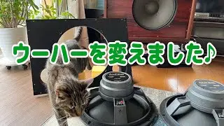 【オーディオ】アルテックヴァレンシアのウーハーを変えました。