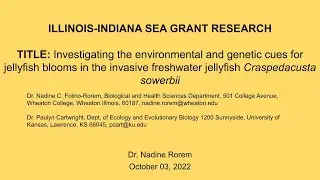 Research: The environmental & genetic cues for jellyfish blooms in the invasive freshwater jellyfish