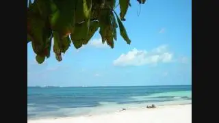 Piano Music- Children's Paradise