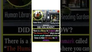 🤯 You can borrow people instead of books? Welcome to Denmark&rsquo;s Human Library! 🇩🇰📚 #shorts