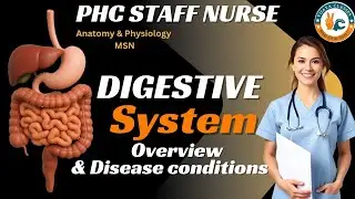 PHC STAFF NURSE II GI SYSTEM OVERVIEW II THEORY & DISEASE CONDITION