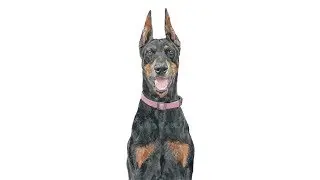Dog Watercolor Time-lapse