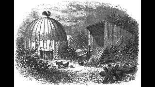 Tollgate Creek Observatory