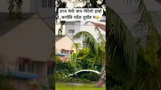 आज हाम्रो कर्नालि पर्देश को सुर्खेत म पनि बाघ भेटियो # #highlight #fypyoutube  #sadday 🙉🙉🙆🙆