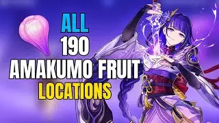 All 190 Amakumo Fruit Locations - Efficient Farming Route - Raiden & Kirara Ascension Materials