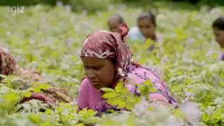 Farmer Groups &ndash; GIZ Green Innovation Centre India 2018