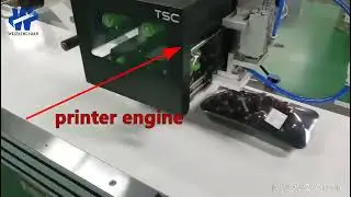 打印引擎贴标 printing engine printer labeling machine, top flat printing and labeling