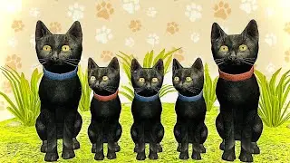 Little Cat Simulator : Kitties Family NEW Baby Adventure Games iOS - Play Fun Cute Kitten #17