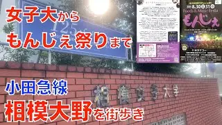 【相模大野】商業施設から公園｜女子大学からもんじぇ祭りまで