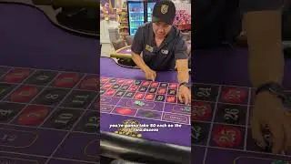 The Double D Roulette Strategy!