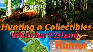 🔴The Hunter Classic Gameplay🔴◀️Whitehart Island Hunting Reserve🐇🐏🐂 ▶️🔴