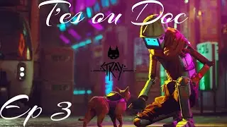 T'es ou doc Ep3 Stray
