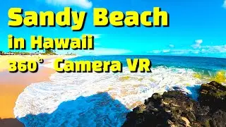 [4K] Sandy Beach in Hawaii 360 VR / 랜선여행