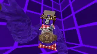 OMG Terrifying maze!!!! 🌽 Jack The Cat🐱