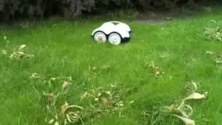Robot lawn mower | Kosiarki roboty | Wiper Blitz