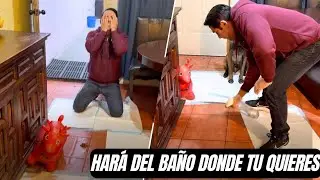 Enseña a tu perro a que haga del baño donde tu quieres 👌🏻💯 Garantizado 