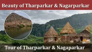 one of the most beautiful videos Tharparkar and Nagarparkar