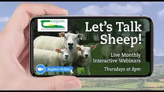 Let's Talk Sheep - Silage Making on Sheep Farms