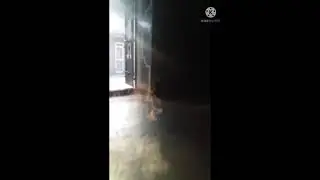 bottle in smoke for hard #short #viral video #smoke