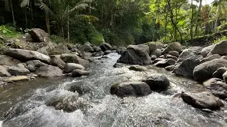 Relax and Sleep Fast with Gentle Forest River Sounds Flowing Naturally Over Stones All Night 🌊😴