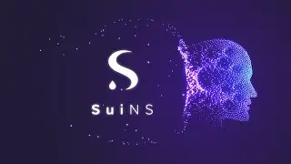 How To Register SuiNS Web3 Domains For SUI Network Massive Airdrop (Step-by-Step Guide)