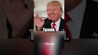 Победа Зохрана Мамдани: Нью-Йорк утонет в мемах 🗽