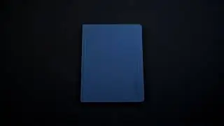 Дневники BRAUBERG с твердой обложкой