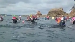 Tour de Brehat à la nage juin 2016