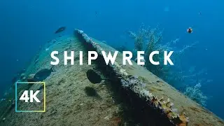 BONAIRE ISLAND | Hilma Hooker Shipwreck Scuba Diving Sounds for Relaxing, 4K