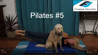 Fitness Factory Online | Lockdown Workouts | Pilates #5