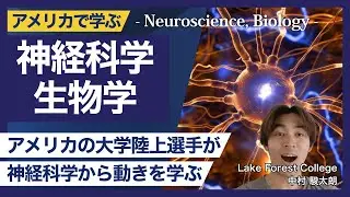 【