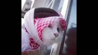 Mehdi army sad song 2025 god bless
