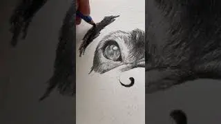 Go Dark! #alwayslearning #thedottist #patreon #fyp #boxerdog #asmrdrawing #asmrpencil