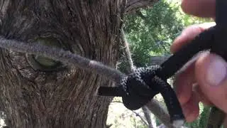 How to choose tree stand location for archery hunting