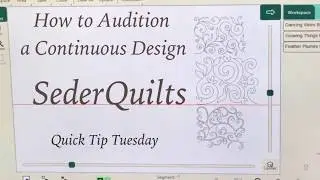 How to Audition Continuous Quilting Designs for Borders, E2E or B2B~Quick Tip Tuesday by Paola Jo