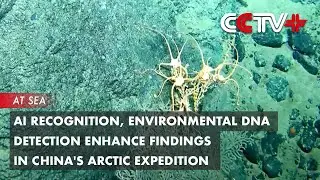 AI Recognition, Environmental DNA Detection Enhance Findings in China's Arctic Expedition