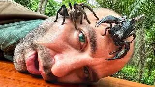 These Bugs Sent Me to the Hospital!