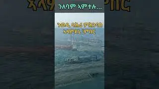 BealSham_Eri #eritrea #eritreanmusic #bealsham #shorts