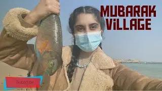 Mubarak Village Vlog |Curious Mind|