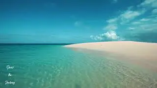 Savor the Journey ~ Beach Tribe
