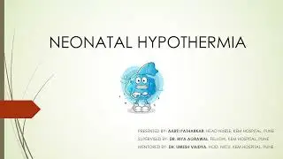 Thermoregulation and Management of Hypothermia in Newborns - 24.05.2023