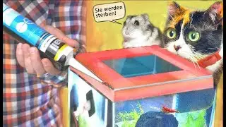 Wir haben unser Aquarium hermetisch verschlossen, was passiert weiter?